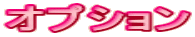 オプション